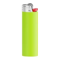 Briquet BIC® — Vert